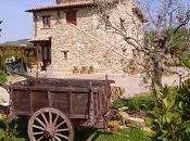 Vacanze Agriturismo profilo dell’ agriturista