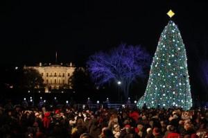 Barack Obama - obama national christmas