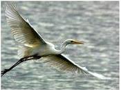 tutto muore Costantino Posa