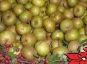 insolito risotto molto saporito profumato preparato frutti dimenticati”…