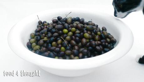 In dispensa: Olive taggiasche in salamoia