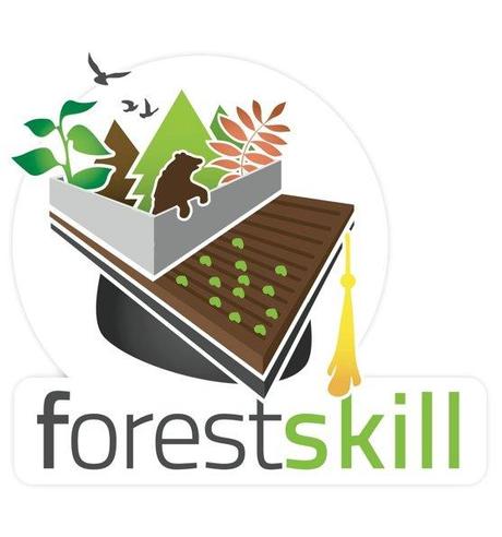 Forest Skill