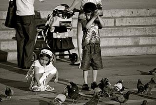 Frammenti milanesi/26 - Come piccioni