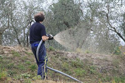 l'idrosemina della scarpata a Pierino