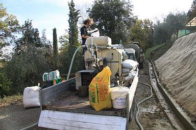 l'idrosemina della scarpata a Pierino