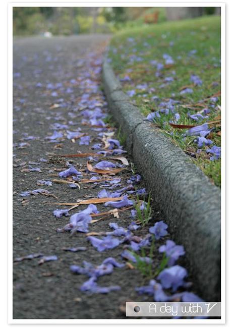 Aria nuova nei giorni di V