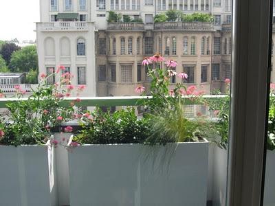 i Giardini dei mestieri_ designer di mobili