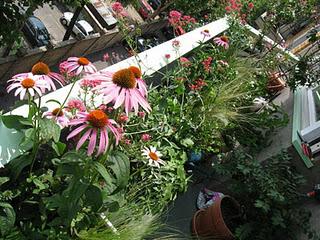 i Giardini dei mestieri_ designer di mobili