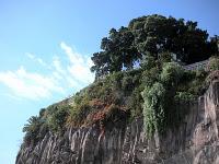 no domingo a zonzo per Funchal