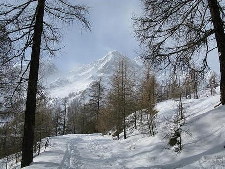 Val d' Aosta gourmet