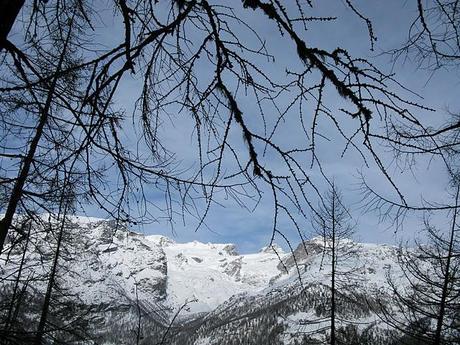 Val d' Aosta gourmet