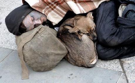 Un uomo dorme con il suo cane in Foley Square dopo lo sgombero di Zuccotti Park