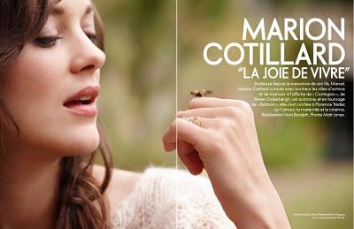 {Style Icon : Marion Cotillard}