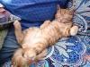 Foto curiose