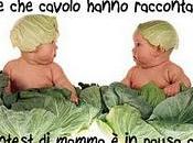 narra che...