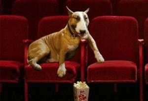 cane, cinema