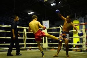 Gallo Cassarino Campione del Sud Thailandia