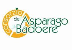 asparagologo
