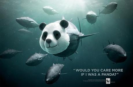 WWF alla salvaguardia dei tonni