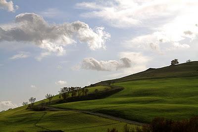 verde d'Orcia