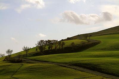 verde d'Orcia