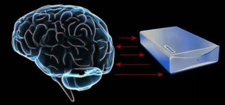 Computer e SmartPhone atrofizzano il cervello?