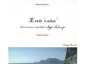 Evvie miez' della Penisola Sorrentina