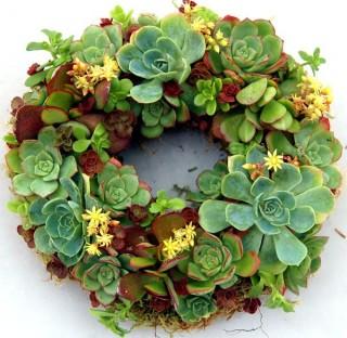 Succulent Wreath Happiness 9 by Fairyscape modern accessories and decor