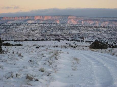 GRAVE TEMPESTA INVERNALE NEL NEW MEXICO