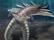 Anomalocaris possedeva occhi molto complessi