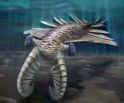 Anomalocaris