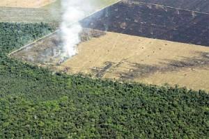 La nuova legge sull’Amazzonia: quando la sinistra devasta l’ambiente