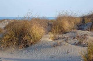 Viaggio nel paese delle meraviglie