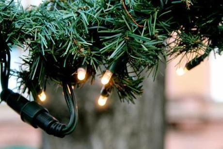 Ciao, sono il Grinch. Ciao, sono il Grinch.