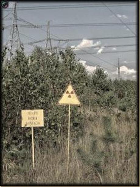 chernobyl6