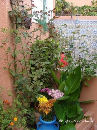 La Nostra Casa il giardino