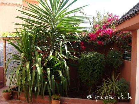 La Nostra Casa il giardino