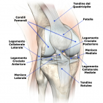 La funzione dello Stretching: cos’è? a cosa serve? quali sono i benefici?