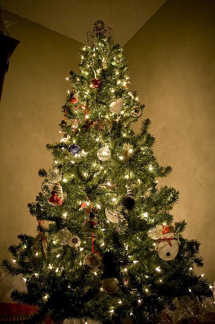 L'ALBERO DI NATALE SCOPRIAMOLO INSIEME