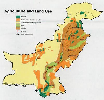 Il Pakistan promuove l'olivicoltura nel Punjab.