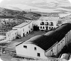 agricoltura_-_le_fattorie_azzolino._a_camporeale_di_palermo._per_il_70_sono_proprieta_della_cantin_imagelarge