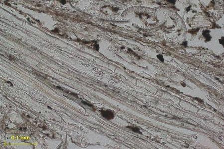 materasso Scoperto il primo materasso, costruito 77.000 anni fa