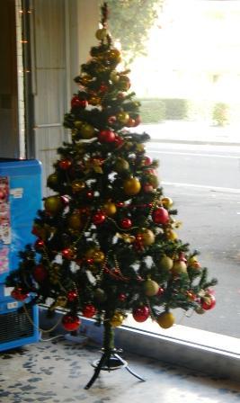 Albero di Natale 2011 Oristano viale Diaz, foto Mediterranews