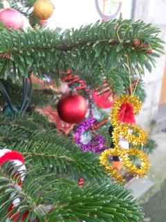 Vi presento, l’albero di Natale e il presepe.