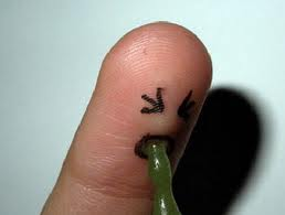 Quel tranquillo lunedì di paura