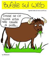 BUFALE E BUFALI