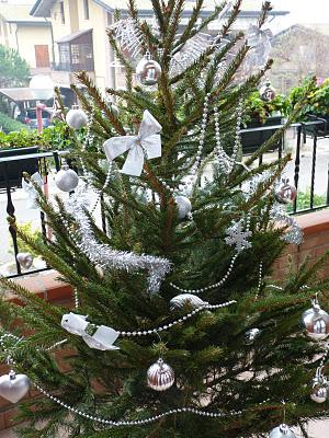 Albero Di Natale Vero Prezzo.Albero Di Natale Fatto Paperblog