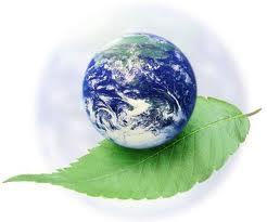 Rispetto per la Creazione