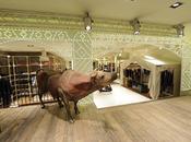 Store brindisi Natale 2011