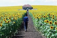 UnLibroUnFilm: Everything is illuminated